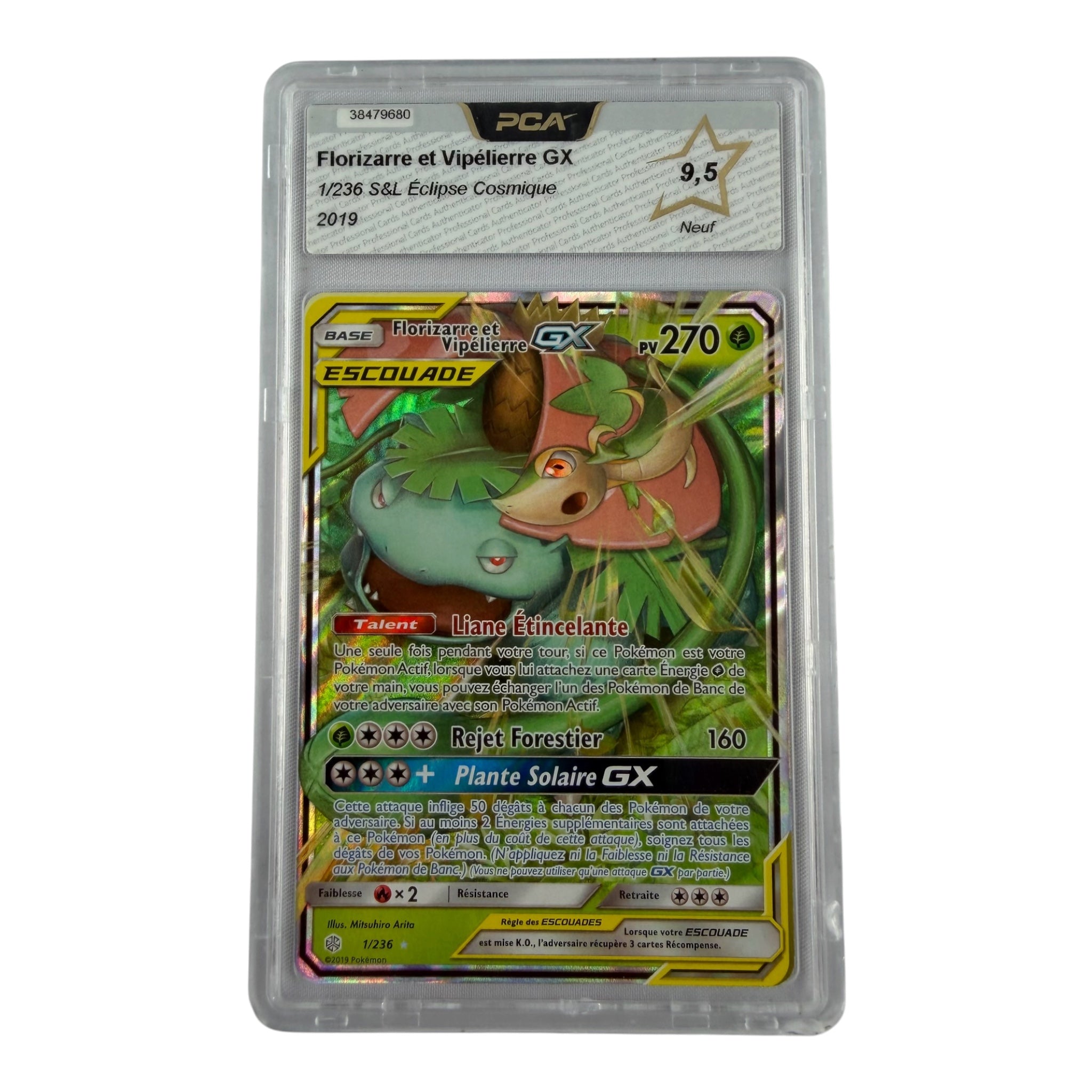 Florizarre et Vipélierre GX 01/236  PCA 9.5