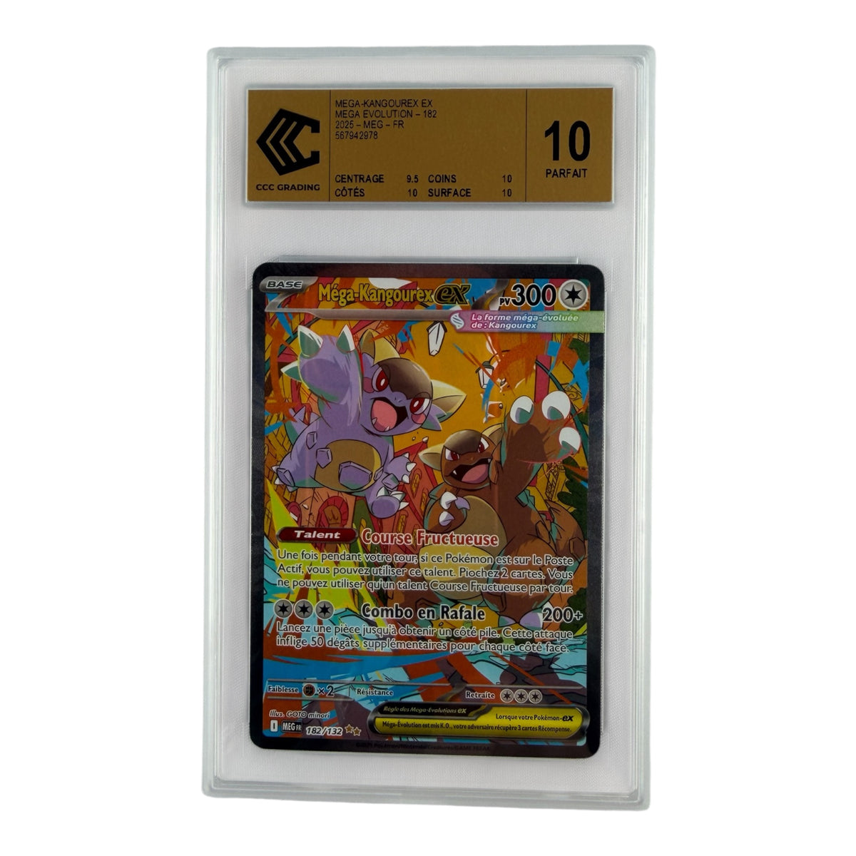 Méga Kangourex-ex 182/132 – CCC 10 Gold Label | Sneyzen Corp