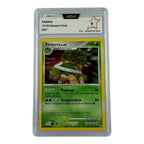 Carte Pokémon gradée Torterra Holo 17/130 PCA 8 – recto | Sneyzencorp
