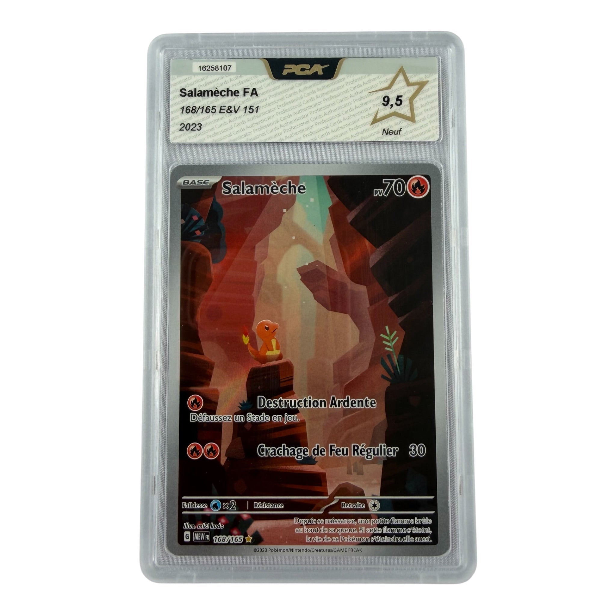 Salameche 168/165 PCA 9.5 - sneyzencorp